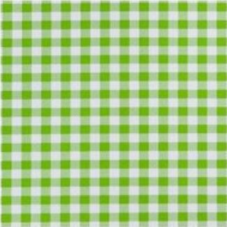 Plakfolie rol 200x45cm ruitjes groen