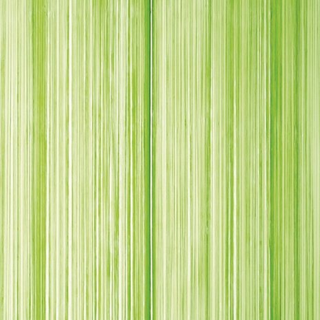 Frusqo draadjesgordijn lime 100x250cm